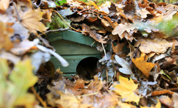 Pod stertą jesiennych liści widać drewnianą budkę dla jeży