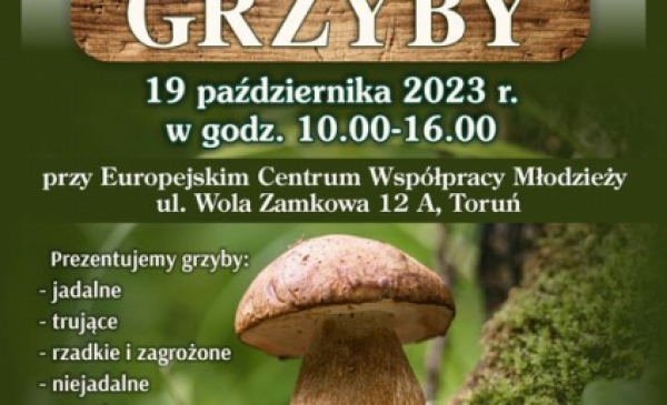 Wystawa grzybów - plakat