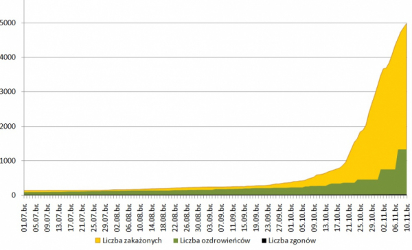 Na zdjęciu: wykres przedstawiający liczbę zakażonych koronawirusem, wyleczonych i ofiar śmiertelnych w Toruniu od początku pandemii