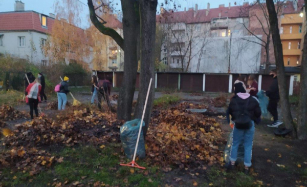 Na zdjęciu: młodzież sprzątająca opadłe liście