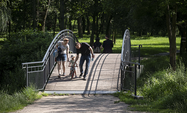 mostek w parku na Bydgoskim Przedmieściu
