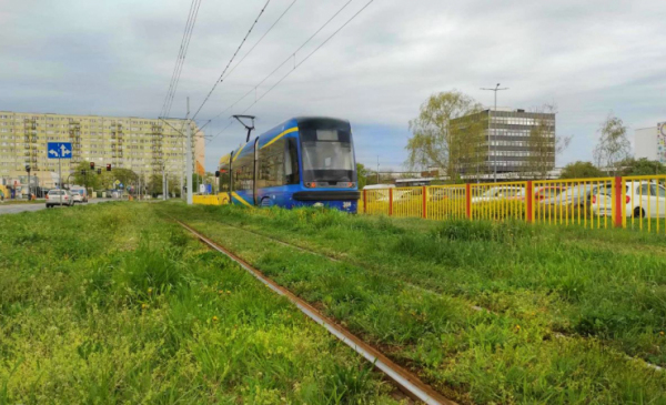 Na zdjęciu: tramwaj jedzie po zielonym torowisku, czyli torowisku porośniętym trawą