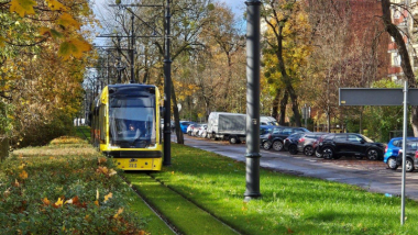 Na zdjęciu: tramwaj jedzie po torowisku porośniętym trawą, w tle jesienne drzewa