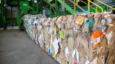 Jednolite stawki za gospodarowanie odpadami w Toruniu
