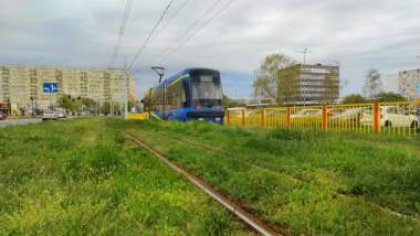 Na zdjęciu: tramwaj jedzie po zielonym torowisku, czyli torowisku porośniętym trawą