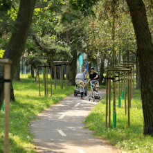 Na zdjęciu: tereny zielone w parku za pawilonem Maciej