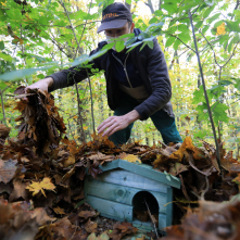 Pracownik zieleni ustawia drewnianą budkę dla jeży  w parku wśród liści