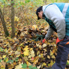 Pracownik zieleni ustawia drewnianą budkę dla jeży  w parku wśród liści