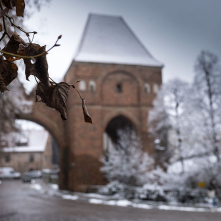Zamek krzyżacki w Toruniu w śnieżnej scenerii, fot. Wojtek Szabelski