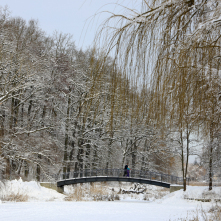 Mostek na Martówce w Parku Miejskim na Bydgoskim Przedmieściu 