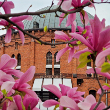 Toruń w wiosennym anturażu