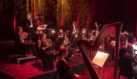 Mizucy Toruńskiej Orkiestry Symfonicznej grają na instrumentach, na pierwszym planie harfa