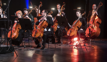 Muzycy Toruńskiej Orkiestry Symfonicznej - sekcja instrumentów smyczkowych podczas koncertu